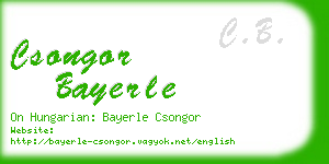 csongor bayerle business card